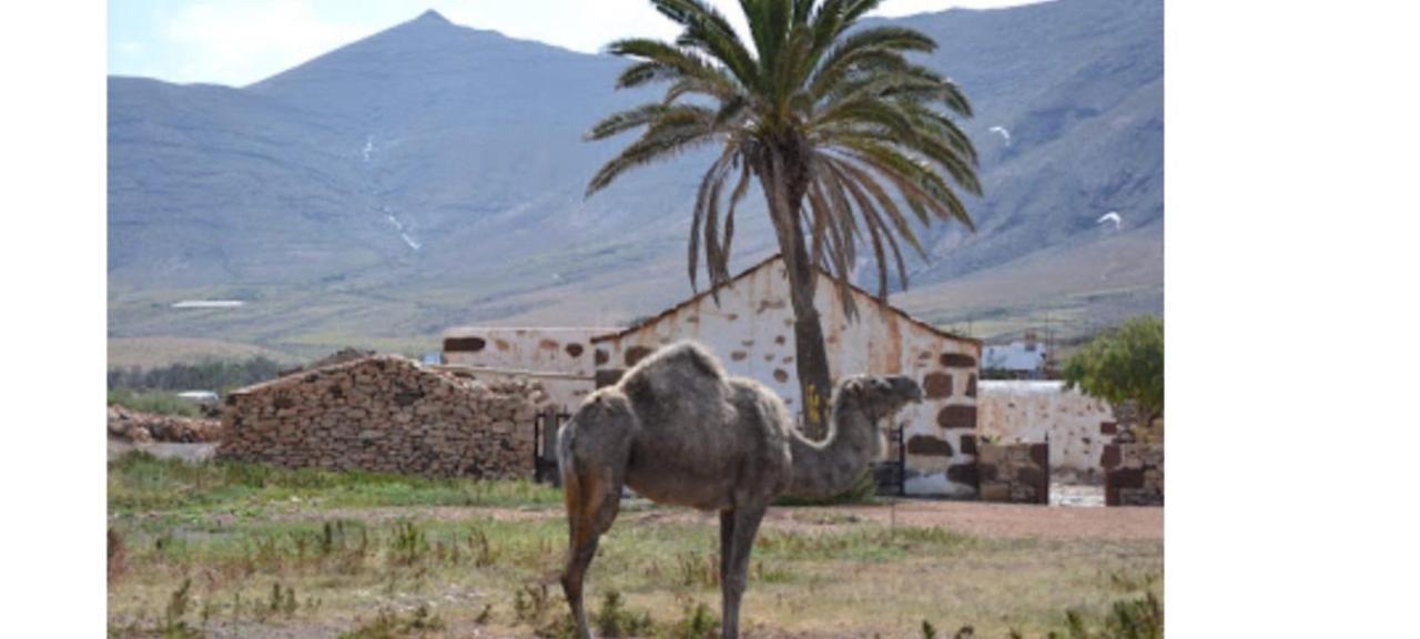 Vv Casa Josue Apartman Caleta De Fuste Kültér fotó